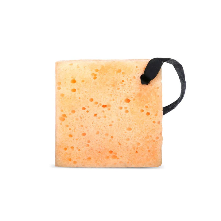 Biovene Body Night Wash Sponge 75G